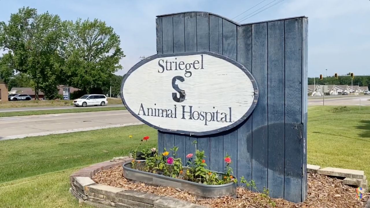 Striegel Animal Hospital Daily Ops