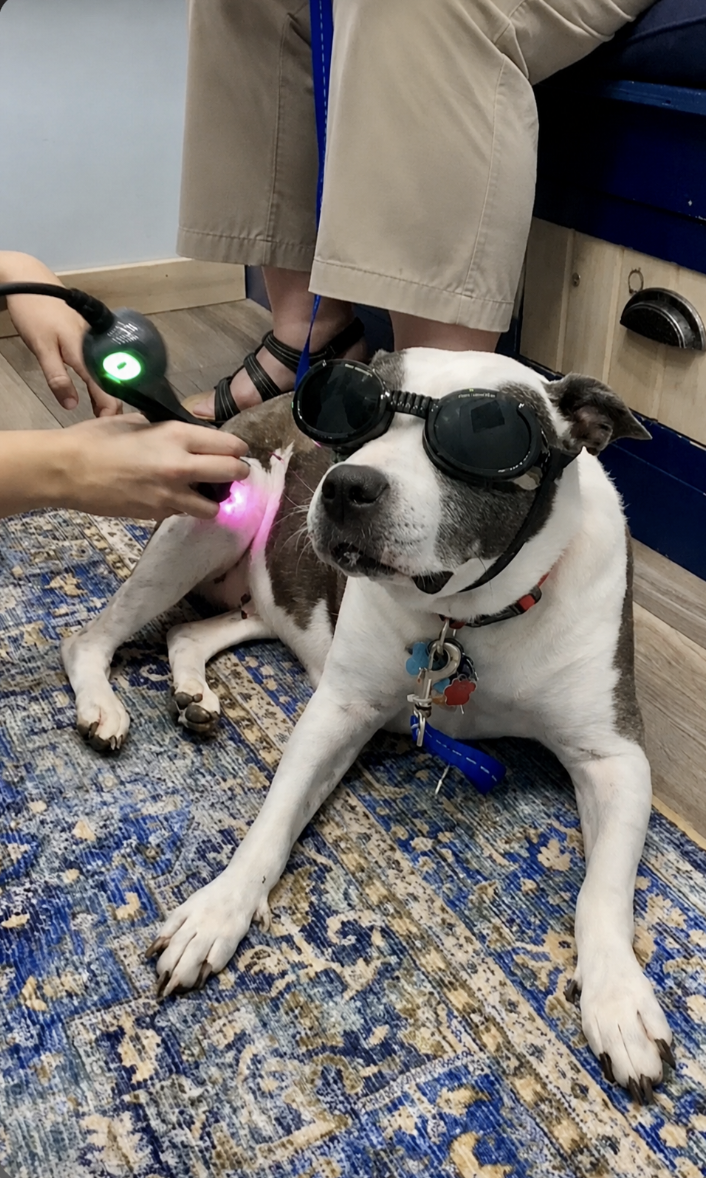 Dorothy receives laser therapy Dorothy receives laser therapy